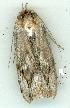  ( - gvc11327-1L)  @12 [ ] Copyright (2004) Unspecified Unspecified