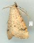  ( - gvc11459-1L)  @13 [ ] Copyright (2004) Unspecified Unspecified