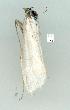  ( - gvc11472-1L)  @12 [ ] Copyright (2004) Unspecified Unspecified