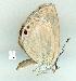  ( - gvc11559-1L)  @12 [ ] Copyright (2004) Unspecified Unspecified