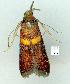 ( - gvc11588-1L)  @13 [ ] Copyright (2004) Unspecified Unspecified