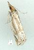  ( - gvc11590-1L)  @12 [ ] Copyright (2004) Unspecified Unspecified