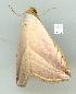  ( - gvc11605-1L)  @12 [ ] Copyright (2004) Unspecified Unspecified