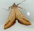  ( - gvc11606-1L)  @13 [ ] Copyright (2004) Unspecified Unspecified
