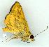  ( - gvc11619-1L)  @13 [ ] Copyright (2004) Unspecified Unspecified