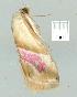  ( - gvc11645-1L)  @12 [ ] Copyright (2004) Unspecified Unspecified