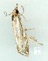  ( - gvc11762-1L)  @12 [ ] Copyright (2004) Unspecified Unspecified