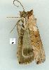 ( - gvc11821-1L)  @13 [ ] Copyright (2004) Unspecified Unspecified