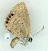  ( - gvc11852-1L)  @13 [ ] Copyright (2004) Unspecified Unspecified