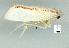  ( - gvc11952-1L)  @12 [ ] Copyright (2004) Unspecified Unspecified