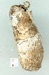  ( - gvc11989-1L)  @12 [ ] Copyright (2004) Unspecified Unspecified