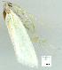  ( - gvc11998-1L)  @12 [ ] Copyright (2004) Unspecified Unspecified