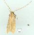  ( - gvc12184-1L)  @12 [ ] Copyright (2004) Unspecified Unspecified