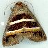  ( - gvc12279-1L)  @13 [ ] Copyright (2004) Unspecified Unspecified