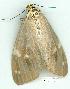  ( - gvc12316-1L)  @13 [ ] Copyright (2004) Unspecified Unspecified