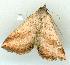  ( - gvc12322-1L)  @13 [ ] Copyright (2004) Unspecified Unspecified