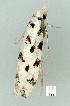  ( - gvc12460-1L)  @13 [ ] Copyright (2004) Unspecified Unspecified