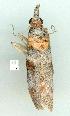  ( - gvc12494-1L)  @12 [ ] Copyright (2004) Unspecified Unspecified
