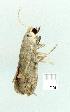  ( - gvc12605-1L)  @12 [ ] Copyright (2004) Unspecified Unspecified