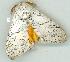  ( - gvc12634-1L)  @13 [ ] Copyright (2004) Unspecified Unspecified