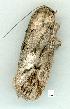  ( - gvc12731-1L)  @12 [ ] Copyright (2004) Unspecified Unspecified