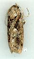  ( - gvc12732-1L)  @13 [ ] Copyright (2004) Unspecified Unspecified