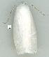  ( - gvc12918-1L)  @12 [ ] Copyright (2004) Unspecified Unspecified