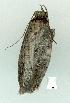  ( - gvc12934-1L)  @12 [ ] Copyright (2004) Unspecified Unspecified