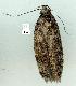  ( - gvc12936-1L)  @12 [ ] Copyright (2004) Unspecified Unspecified