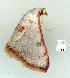  ( - gvc13212-1L)  @13 [ ] Copyright (2004) Unspecified Unspecified