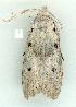  ( - gvc13277-1L)  @12 [ ] Copyright (2004) Unspecified Unspecified