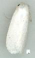  ( - gvc13278-1L)  @12 [ ] Copyright (2004) Unspecified Unspecified