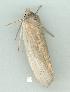  ( - gvc13280-1L)  @12 [ ] Copyright (2004) Unspecified Unspecified