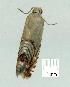  ( - gvc13290-1L)  @12 [ ] Copyright (2004) Unspecified Unspecified