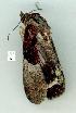  ( - gvc13437-1L)  @12 [ ] Copyright (2004) Unspecified Unspecified