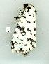  ( - gvc13470-1L)  @12 [ ] Copyright (2004) Unspecified Unspecified