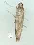 ( - gvc13507-1L)  @12 [ ] Copyright (2004) Unspecified Unspecified