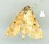  ( - gvc13816-1L)  @13 [ ] Copyright (2004) Unspecified Unspecified