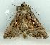  ( - gvc13819-1L)  @14 [ ] Copyright (2004) Unspecified Unspecified