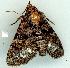  ( - gvc13997-1L)  @13 [ ] Copyright (2004) Unspecified Unspecified