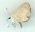  ( - gvc14175-1L)  @12 [ ] Copyright (2004) Unspecified Research Collection of Graeme Cocks