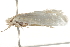  ( - gvc5699-1L)  @13 [ ] CreativeCommons - Attribution (2004) Unspecified Centre for Biodiversity Genomics