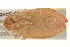  ( - gvc5755-1L)  @13 [ ] CreativeCommons - Attribution (2004) Unspecified Centre for Biodiversity Genomics