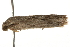  ( - gvc5766-1L)  @13 [ ] CreativeCommons - Attribution (2004) Unspecified Centre for Biodiversity Genomics