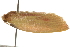  ( - gvc5860-1L)  @12 [ ] CreativeCommons - Attribution (2004) Unspecified Centre for Biodiversity Genomics