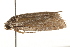  ( - gvc5878-1L)  @13 [ ] CreativeCommons - Attribution (2004) Unspecified Centre for Biodiversity Genomics