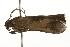  ( - gvc6138b)  @12 [ ] CreativeCommons - Attribution (2004) Unspecified Centre for Biodiversity Genomics