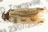  ( - gvc5650-1L)  @13 [ ] CreativeCommons - Attribution (2004) Unspecified Centre for Biodiversity Genomics