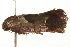  ( - gvc5665-1L)  @12 [ ] CreativeCommons - Attribution (2004) Unspecified Centre for Biodiversity Genomics