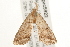  ( - gvc5922-1L)  @13 [ ] CreativeCommons - Attribution (2004) Unspecified Centre for Biodiversity Genomics